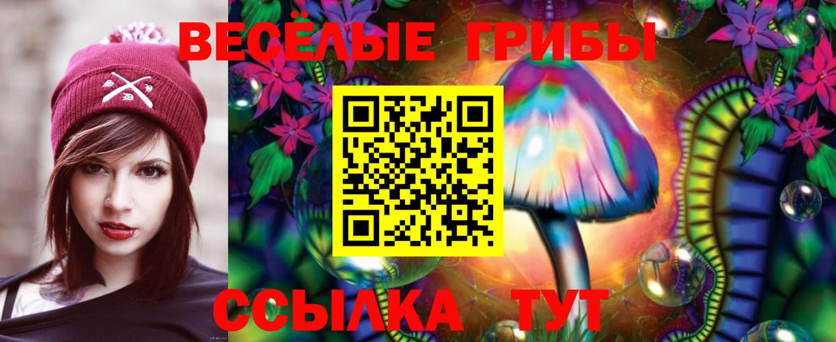 Псилоцибиновые грибы мицелий Химки